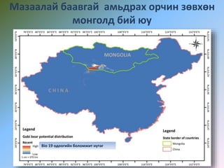 Мазаалай баавгай амьдрах орчин зөвхөн
монголд бий юу
Bio 19 одоогийн боломжит нутаг
 