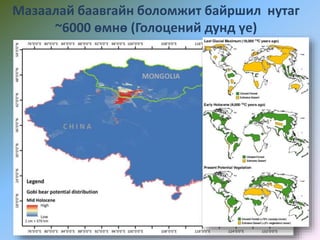 Мазаалай баавгайн боломжит байршил нутаг
~6000 өмнө (Голоцений дунд үе)
 