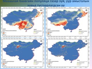Мазаалай баавгайн популяци газар зүй, уур амьсгалын
хувьд тусгаарлагдсан уу
 