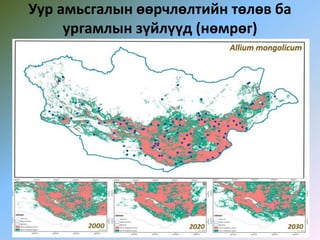 Уур амьсгалын өөрчлөлтийн төлөв ба
ургамлын зүйлүүд (нөмрөг)
 