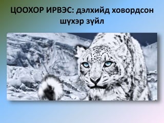 ЦООХОР ИРВЭС: дэлхийд ховордсон
шүхэр зүйл
 