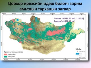 Цоохор ирвэсийн идэш бологч зарим
амьтдын тархацын загвар
Голомт 19926.65 км2 (20%)
Тархац 10012.30км2
Голомт 330820.26 км2 (13%)
Тархац 42984.20 км2
Голомт 33198.19 км2 (14%)
Тархац 232900.26 км2
Голомт 100189.57 км2 (18.5%)
Тархац 541992.16 км2
 
