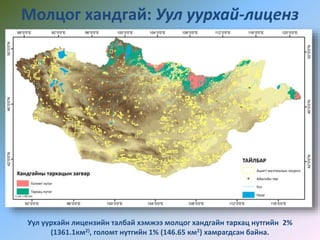 Молцог хандгай: Уул уурхай-лиценз
Уул уурхайн лицензийн талбай хэмжээ молцог хандгайн тархац нутгийн 2%
(1361.1км2), голомт нутгийн 1% (146.65 км2) хамрагдсан байна.
 
