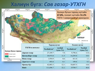 Халиун буга: Сав газар-УТХГН
ТХГН-н ангилал
Тархац нутаг Голомт нутаг
Талбай/км2 талбай
/хувь (%)
Талбай/км2 Талбай
/хувь (%)
Дархан газар 27,189.7 7.8 9,796.6 13.4
Цогцолборт газар 39,975.0 11.5 14,295.0 19.5
Нөөц газар 1,954.9 0.6 811.0 1.1
Дурсгалт газар 493.8 0.1 199.8 0.3
Орчны бүс 42,083.3 12.1 10,687.5 14.6
Нийт 111,696.7 32.2 35789.7 48.8
Халиун бугын тархац нутгийн
67.8%, голомт нутгийн 51.2%
ТХГН-т хамрагдаагүй орхигдсон
 