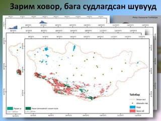 Зарим ховор, бага судлагдсан шувууд
Photo: Purevsuren Tsolmonjav
 