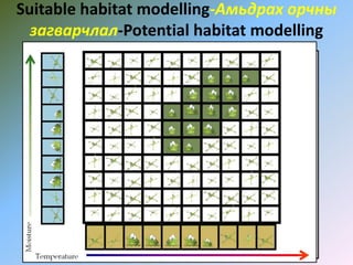 Suitable habitat modelling-Амьдрах орчны
загварчлал-Potential habitat modelling
 