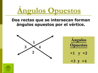 Ángulos Opuestos Dos rectas que se intersecan forman ángulos opuestos por el vértice. 1 2 3 4 Ángulos Opuestos <1  y  <2 <3  y  <4 