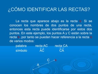 ¿CÓMO IDENTIFICAR LAS RECTAS?
La recta que aparece abajo es la recta b. Si se
conocen los nombres de dos puntos de una recta,
entonces esta recta puede identificarse por estos dos
puntos. En este ejemplo, los puntos A y C están sobre la
recta b, por tanto se pueden hacer referencia a la recta b
de varios modos:
palabra recta AC recta CA
símbolo AC CA
C b
A
 