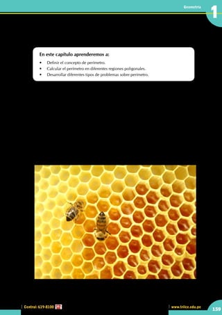 Central: 619-8100
Geometría
159
www.trilce.edu.pe
1
•	 A las abejas se les considera los arquitectos de la naturaleza. En la parte superior se muestra una
muestra de su trabajo,  ¿qué forma poligonal observas?
¿Qué es perímetro?
En este capítulo aprenderemos a:
•	 Definir el concepto de perímetro.
•	 Calcular el perímetro en diferentes regiones poligonales.
•	 Desarrollar diferentes tipos de problemas sobre perímetro.
L
a miel tiene muchas propiedades terapéuticas (Havsteen 2002). Se puede usar externamente debido a
sus propiedades antimicrobianas y antisépticas. Así, la miel ayuda a cicatrizar y a prevenir infecciones
en heridas o quemaduras superficiales. También es utilizada en cosmética (cremas, mascarillas de
limpieza facial, tónicos, etcétera) debido a sus cualidades astringentes y suavizantes.
La miel también se emplea en la medicina tradicional. Es un excelente conservante natural. Sin embargo,
no siempre es saludable. Debido a que procede de flores silvestres, hay algunos momentos y lugares en los
que la miel producida por las abejas es altamente tóxica. Los rododendros y azaleas producen un néctar
altamente venenoso para los humanos, aunque inofensivo para las abejas, que producen así una miel
mortífera. En algunas regiones del mundo las colmenas se vacían inmediatamente después de la temporada
de flores, eliminando cualquier residuo para evitar envenenamientos accidentales. Existen historias del uso
de miel venenosa como arma de guerra en la antigüedad, pero no son corroborables. Dicha miel venenosa
es muy difícil de encontrar. La forma de la flor de azalea hace que a las abejas le resulte difícil acceder al
néctar, y en la época en la que florecen hay casi siempre otras flores más atractivas para las abejas , y así
lo trabajen en su colmena que presenta la forma brindada en el gráfico.
http://www.plataformaarquitectura.cl
 