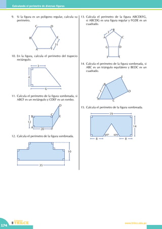 CEILTR
Colegios
www.trilce.edu.pe
174
Calculando el perímetro de diversas figuras
9.	 Si la figura es un polígono regular, calcula su
perímetro.
31
A
B
C D
E
F
10.	En la figura, calcula el perímetro del trapecio
rectángulo.
3
4
6
11.	Calcula el perímetro de la figura sombreada, si
ABCF es un rectángulo y CDEF es un rombo.
12
20
A
B
C
D
E
F
12.	Calcula el perímetro de la figura sombreada.
35
10
13.	Calcula el perímetro de la figura ABCDEFG,
si ABCDG es una figura regular y FGDE es un
cuadrado.
3
G
A
B
C
F E
D
14.	Calcula el perímetro de la figura sombreada, si
ABC es un triángulo equilátero y BEDC es un
cuadrado.
5
A
B
C
E
D
15.	Calcula el perímetro de la figura sombreada.
60º 60º
19
14
8 8
 