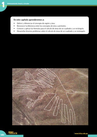 CEILTR
Colegios
www.trilce.edu.pe
182
Ordenamiento lineal y circular
1
•	 ¿Puedes observar alguna región?. En estas regiones trabajadas de manera tan perfecta, nadie hasta el
momento puede explicar su origen.
¿Perímetro es lo mismo que área?
En este capítulo aprenderemos a:
•	 Definir y diferenciar el concepto de región y área.
•	 Reconocer la diferencia entre los conceptos de área y perímetro.
•	 Conocer y aplicar las fórmulas para el cálculo de áreas de un cuadrado y un rectángulo.
•	 Desarrollar diversos problemas sobre el cálculo de áreas de un cuadrado y un rectángulo.
http://www.taringa.net/posts/imagenes
R
eferente al fenómeno OVNI y su fenomenología, ufológos han postulado que el fenómeno OVNI
habría sido probablemente ya conocida por distintas culturas indígenas y civilizaciones las cuales
han relatado este tipo de sucesos de generación en generación por vía oral o incluso mediante
dibujos y pinturas rupestres. En este traspaso de información de culturas a través de los siglos, postulan que
sería posible reconocer la existencia de episodios relacionados a la presencia de OVNIS y seres asociados
a la aparición de tales objetos y sus fenómenos asociados.
Existen pinturas que exhiben ciertos objetos a nivel del cielo que pueden ser interpretados sugerentemente
como OVNIS. En algunas pinturas rupestres incluso se descubren trazos que representan seres antropomorfos
desconocidos, que pudieran ser confundidos con seres que en la actualidad se asocian a visitas de tripulantes
OVNI (ovninautas) o seres extraños que se aparecen junto con la presencia de OVNIS.
Algunos críticos argumentan, sin embargo, que las presuntas pruebas del fenómeno OVNI en la antigüedad,
no deja de ser una explicación ad hoc, ya que las nubes y carros de fuego podrían ser metáforas empleadas
en los relatos religiosos, y que estas representaciones pudieran ser producto de experiencias y trances
chamánicos o representaciones de valor de cada tribu indígena.
1
 