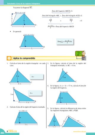 CEILTR
Colegios
www.trilce.edu.pe
202
Calculando el área de las regiones triángulares
Conceptos básicosAplica lo comprendido
10 x
5
50
		 Trazamos la diagonal AC.
	 •	 En general:
Área =( )( )a b h
2
+
b
a
A
B C
D
h
b
a
A
B C
D
h
h
Área del trapecio ABCD=S
Área del triángulo ABC + Área del triángulo ACD=S
.a h
2
.b h
2+ =S
( )a b h
2
+ =Área del trapecio ABCD
1.	 Calcula el área de la región triangular en cada
caso.
A
B
C
5 m
8 m
A=
A=
Q
P R
3 m
4 m
2.	 Calcula el área de la región del trapecio mostrado.
9 m
3 m
7 m
3.	 En la figura, calcula el área de la región del
triángulo mostrado, si: BC = 8 m.
A
B
C
H
7 m
4.	 En la figura, si: a + b = 17 m, calcula el área de
la región del trapecio.
b
a
12 m
5.	 En la figura, calcula la diferencia de áreas entre
las regiones triangulares ABC y PQR.
P
Q
R
3m 4m7cm
6cm
A
B
C
 