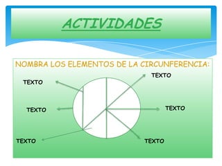 ACTIVIDADES

NOMBRA LOS ELEMENTOS DE LA CIRCUNFERENCIA:
                             TEXTO
 TEXTO




  TEXTO                            TEXTO




TEXTO                      TEXTO
 