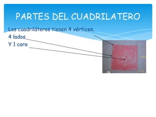 PARTES DEL CUADRILATERO
Los cuadriláteros tienen 4 vértices,
4 lados
Y 1 cara
 