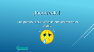 ¡Incorrecto!
Los puntos H,N,V,M no se encuentran en el
dibujo.
 