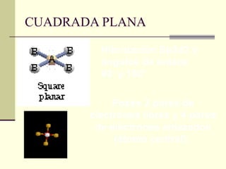 CUADRADA PLANA

         Hibridación Sp3d2 y
         ángulos de enlace
         90’ y 180’

            Posee 2 pares de
       electrones libres y 4 pares
        de electrones enlazados
            (átomo central).
 