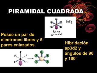 PIRAMIDAL CUADRADA


Posee un par de
electrones libres y 5
pares enlazados.        Hibridación
                        sp3d2 y
                        ángulos de 90
                        y 180’
 