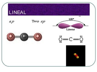 LINEAL




No posee pares de
electrones libres y si posee
2 pares enlazados con
respecto al átomo central.
 