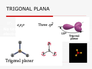 TRIGONAL PLANA

 BF3
No tiene pares de
electrones libres y posee
3 pares enlazados.
 