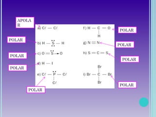 APOLA
R
POLAR
POLAR
POLAR
POLAR
POLAR
POLAR
POLAR
POLAR
 