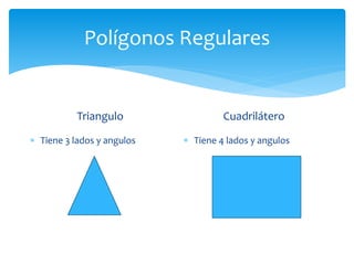 Polígonos Regulares
Triangulo
 Tiene 3 lados y angulos
Cuadrilátero
 Tiene 4 lados y angulos
 