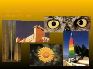 A geometria é um tema sempre presente no nosso
envolvimento, que existe, quer na Natureza quer nas formas
criadas pelo Homem
 