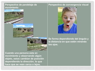 Perspectiva de paralelaje de
movimiento
Cuando una persona esta en
movimiento y observando algún
objeto, estos cambian de posición
dependiendo la dirección, lo que
hace que se vean cerca o lejos.
Perspectiva de convergencia visual
Se forma dependiendo del ángulo y
la distancia en que estén mirando
los ojos.
 