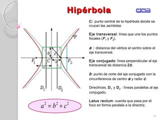 HipérbolaHipérbola
31
C: punto central de la hipérbola donde se
cruzan las asíntotas.
Eje transversal: línea que une los puntos
focales (F1 y F2).
a : distancia del vértice al centro sobre el
eje transversal.
Eje conjugado: línea perpendicular al eje
transversal de distancia 2b.
b: punto de corte del eje conjugado con la
circunferencia de centro a y radio c.
Directrices, D1 y D2 : líneas paralelas al eje
conjugado.
Latus rectum: cuerda que pasa por el
foco en forma paralela a la directriz.222
cba +=
 