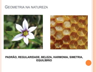 GEOMETRIA NA NATUREZA
PADRÃO, REGULARIDADE, BELEZA, HARMONIA, SIMETRIA,
EQUILÍBRIO
 