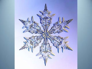 Geometria da Natureza