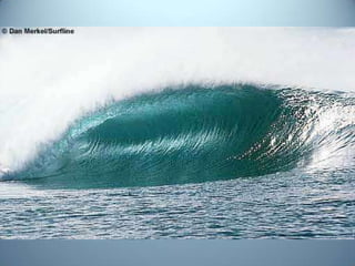 Geometria da Natureza