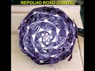 REPOLHO ROXO (CORTE)REPOLHO ROXO (CORTE)
 