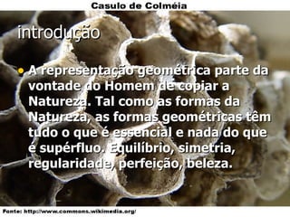 introdução A representação geométrica parte da vontade do Homem de copiar a Natureza. Tal como as formas da Natureza, as formas geométricas têm tudo o que é essencial e nada do que é supérfluo. Equilíbrio, simetria, regularidade, perfeição, beleza. 