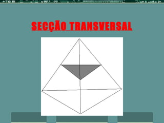 SECÇÃO TRANSVERSAL 