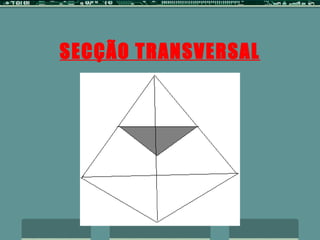 SECÇÃO TRANSVERSAL 