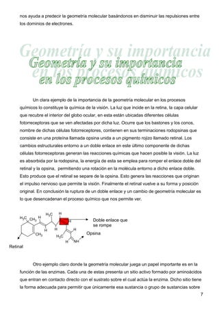 nos ayuda a predecir la geometría molecular basándonos en disminuir las repulsiones entre
     los dominios de electrones.




           Un clara ejemplo de la importancia de la geometría molecular en los procesos
     químicos lo constituye la química de la visión. La luz que incide en la retina, la capa celular
     que recubre el interior del globo ocular, en esta están ubicadas diferentes células
     fotorreceptoras que se ven afectadas por dicha luz. Ocurre que los bastones y los conos,
     nombre de dichas células fotorreceptores, contienen en sus terminaciones rodopsinas que
     consiste en una proteína llamada opsina unida a un pigmento rojizo llamado retinal. Los
     cambios estructurales entorno a un doble enlace en este último componente de dichas
     células fotorreceptoras generan las reacciones químicas que hacen posible la visión. La luz
     es absorbida por la rodopsina, la energía de esta se emplea para romper el enlace doble del
     retinal y la opsina, permitiendo una rotación en la molécula entorno a dicho enlace doble.
     Esto produce que el retinal se separe de la opsina. Esto genera las reacciones que originan
     el impulso nervioso que permite la visión. Finalmente el retinal vuelve a su forma y posición
     original. En conclusión la ruptura de un doble enlace y un cambio de geometría molecular es
     lo que desencadenan el proceso químico que nos permite ver.


                   H3C       H
     H3C CH H
           3                         H          Doble enlace que
                                                se rompe
                   H     H               H
             CH3                              Opsina
                         H3C
                                 H       NH
Retinal



           Otro ejemplo claro donde la geometría molecular juega un papel importante es en la
     función de las enzimas. Cada una de estas presenta un sitio activo formado por aminoácidos
     que entran en contacto directo con el sustrato sobre el cual actúa la enzima. Dicho sitio tiene
     la forma adecuada para permitir que únicamente esa sustancia o grupo de sustancias sobre
                                                                                                       7
 
