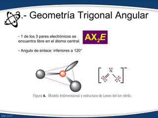3.- Geometría Trigonal Angular
- 1 de los 3 pares electrónicos se
encuentra libre en el átomo central.
                                        AX2E
- Angulo de enlace: inferiores a 120°
 