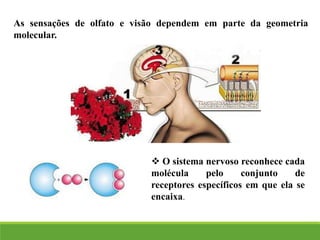 ❖ O sistema nervoso reconhece cada
molécula pelo conjunto de
receptores específicos em que ela se
encaixa.
As sensações de olfato e visão dependem em parte da geometria
molecular.
 