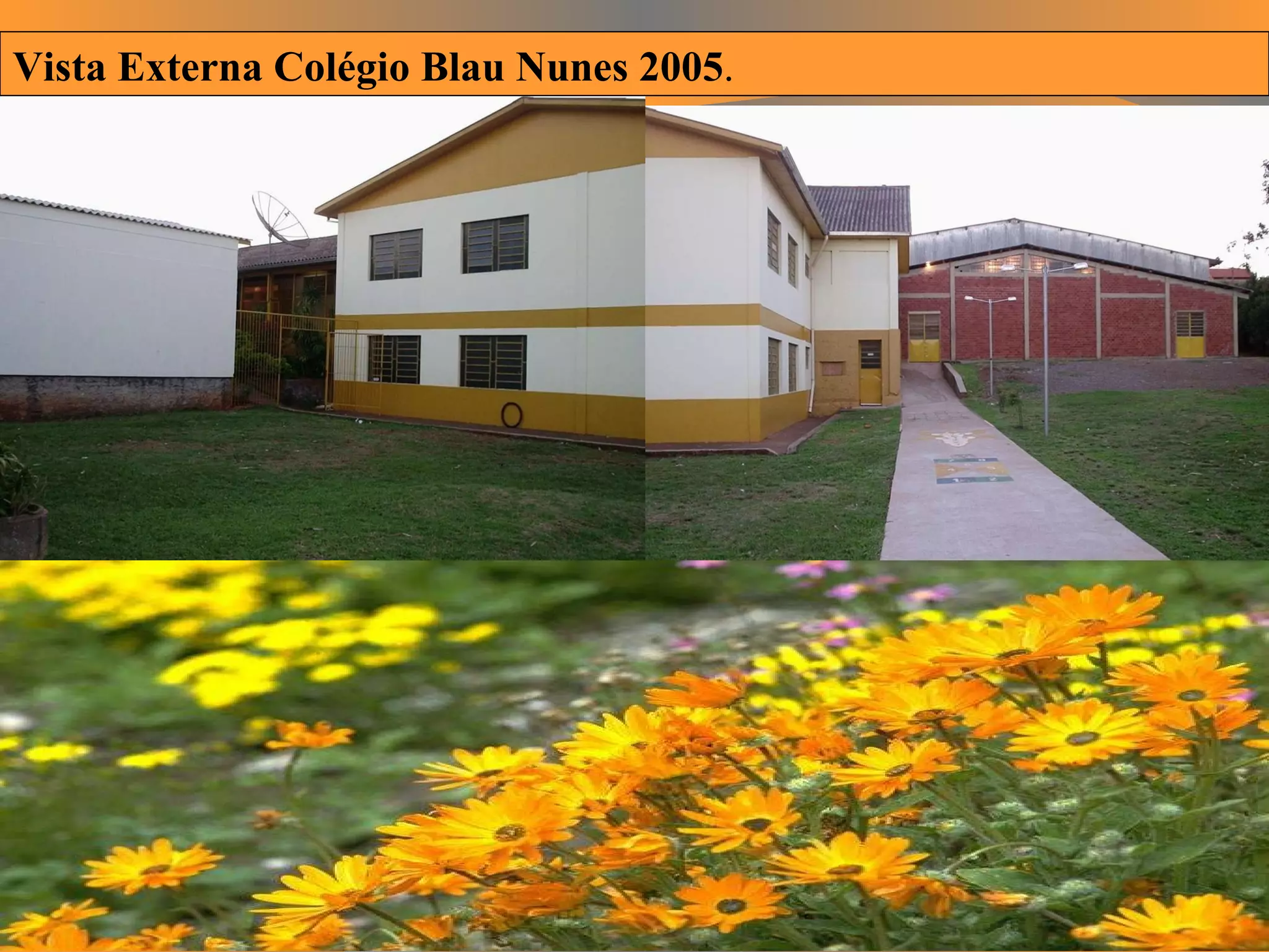 Vista Externa Colégio Blau Nunes 2005 . 