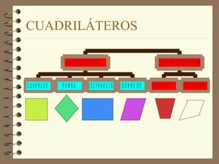 CUADRILÁTEROS 