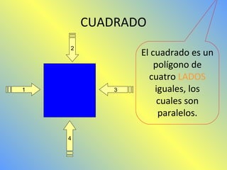 CUADRADO 
1 
2 
4 
3 
El cuadrado es un 
polígono de 
cuatro LADOS 
iguales, los 
cuales son 
paralelos. 
 