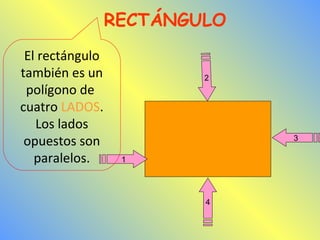 2 
1 
4 
3 
RECTÁNGULO 
El rectángulo 
también es un 
polígono de 
cuatro LADOS. 
Los lados 
opuestos son 
paralelos. 
 