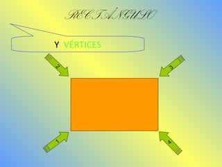 RECTÁNGULO 
Y VÉRTICES 
2 
1 
3 
4 
 