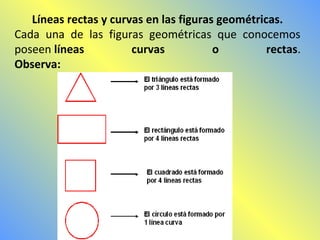 Líneas rectas y curvas en las figuras geométricas. 
Cada una de las figuras geométricas que conocemos 
poseen líneas curvas o rectas. 
Observa: 
 