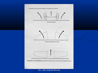 TEC. JOEL SUELDO MOLINA

 