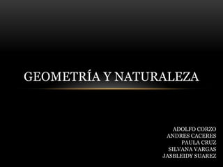 GEOMETRÍA Y NATURALEZA
ADOLFO CORZO
ANDRES CACERES
PAULA CRUZ
SILVANA VARGAS
JASBLEIDY SUAREZ
 