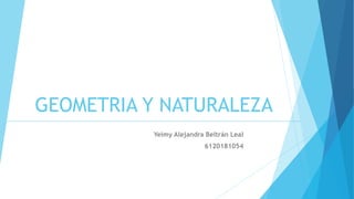 GEOMETRIA Y NATURALEZA
Yeimy Alejandra Beltrán Leal
6120181054
 