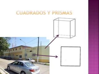 Geometria y realidad