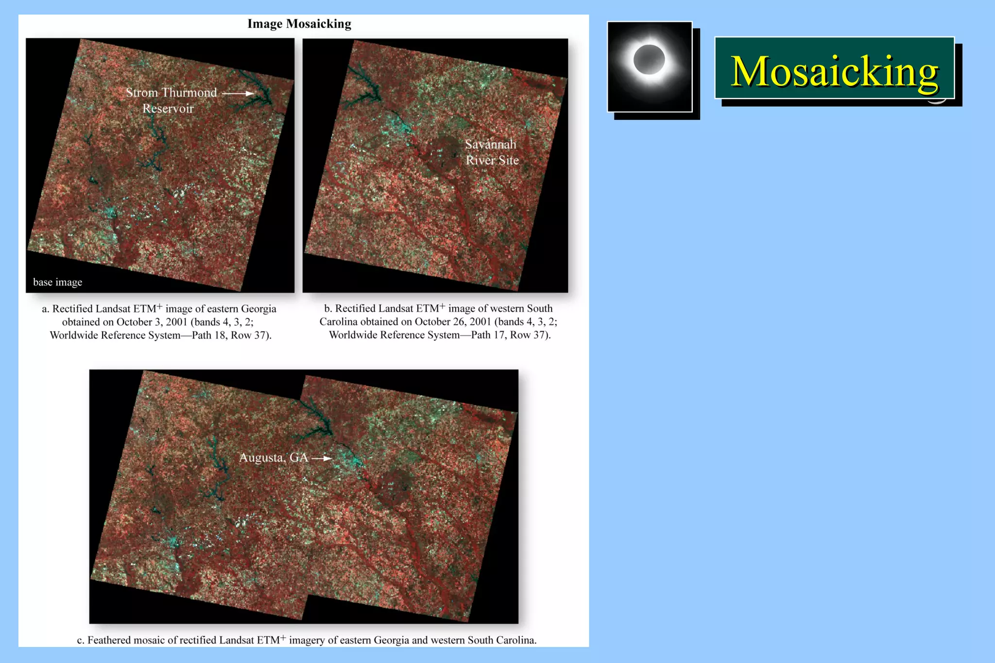 MMMMoooossssaaaaiiiicccckkkkiiiinnnngggg 
