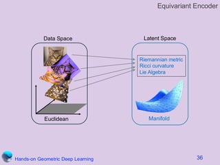 Beyond LLMs: Introduction to Geometric Deep Learning | PDF